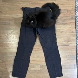 Everlane Black Ankle Cropped Pants